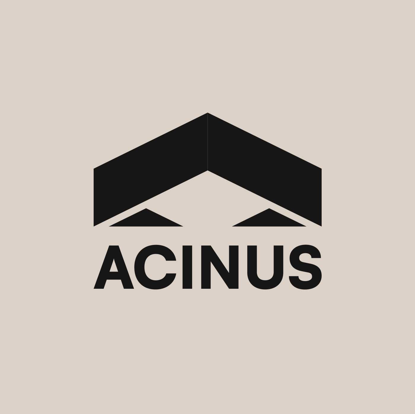 Projekto vystytojas ir generalinis rangovas